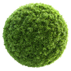 Lush Green Sphere of Dense Foliage for Natural Aesthetic Design