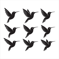 a set of six black silhouette illustrations of hummingbirds in flight. Each bird should feature unique wing positions and feather details, with elongated beaks and streamlined bodies.