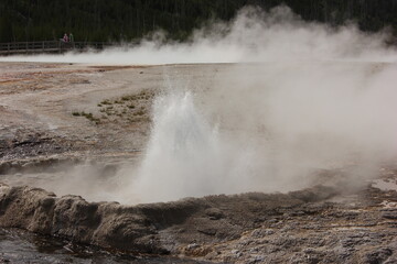 Yellowstone National Park showcases a geyser erupting amidst steam in a natural landscape during midday