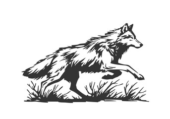 Grey Wolf hand drawn vector illustration
