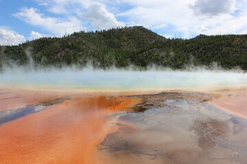 Stunning hot spring with vibrant colors and steam in Yellowstone National Park during daytime