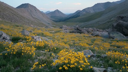 A scenic mountain valley filled with wildflowers at dusk