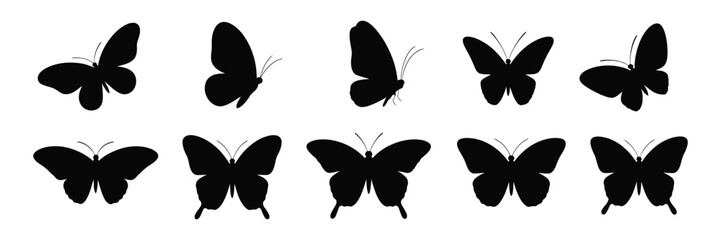 Flying butterflies black silhouette isolated on white background vector illustration set

