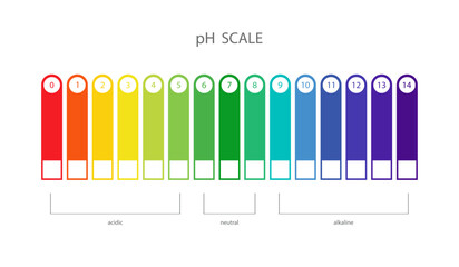 PH Scale. Acidic and alkaline measure. Scale indicator for litmus paper test. Vector illustration isolated on white background.