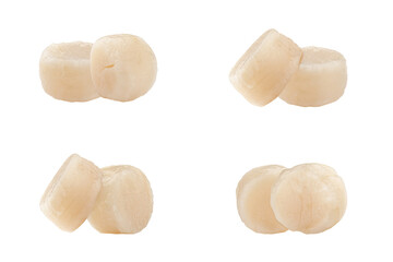 scallops isolated on transparent background, seafood.