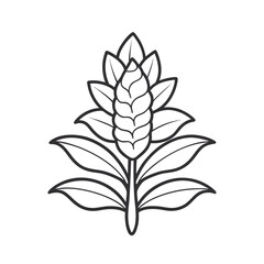 Ginger Lily Outline Vector Icon Botanical Illustration for Design Projects