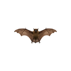 Naklejka premium A brown bat with wings spread wide in flight, white background