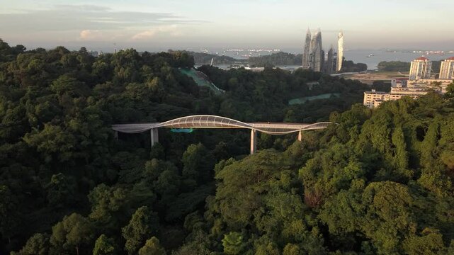 Aerial Smooth 4K drone orbit around Henderson Waves Bridge, moving right to left above the forest canopy at golden hour in Singapore.