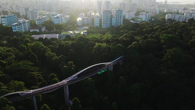 Aerial A cinematic 4K drone shot flying above Henderson Waves Bridge at sunset, surrounded by lush green forest and city skyline in the distance.