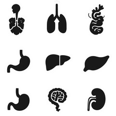 Illustrative icons of human organs displayed on a black background in a grid pattern