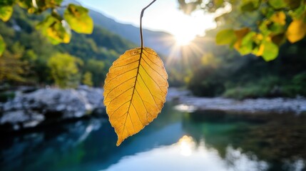 Obraz premium Earth-toned leaf framing vibrant landscape in minimalist eco photo