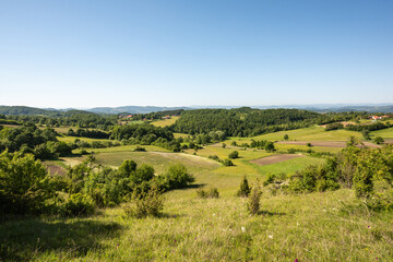 Summer landscape with green grass and blue sky