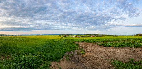 czech landscape with green field and blue sky