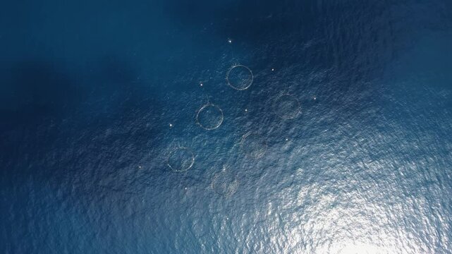 Circular submersible sea pen fish farms off the Sicilian coast in blue Mediterranean waters. Aerial drone