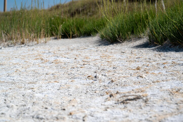 Pathway through a sandy area beside tall grass under a clear blue sky in a quiet coastal environment