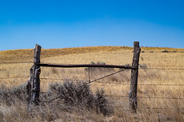 Rustic wooden fence barbed wire gate in dry grassland under clear blue sky during midday sun in a rural area