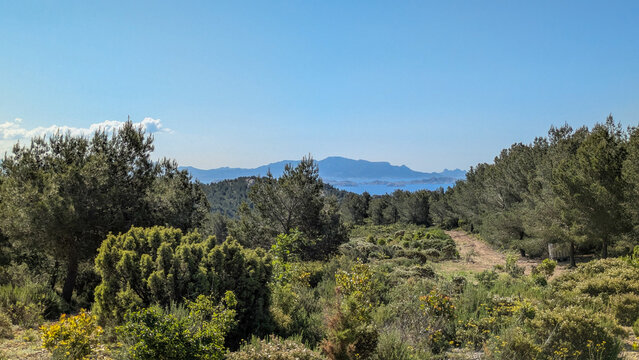 Mediterranean garrigue landscape with pine forest, distant mountains and sea under clear sky. Ensu&egrave;s-la-Redonne, Ensues-la-Redonne, Bouches-du-Rh&ocirc;ne, France, Provence