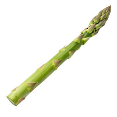 Fototapeta premium An asparagus spear isolated on a transparent background