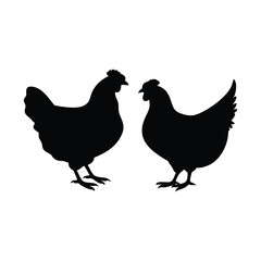 Set of five chicken silhouettes in various poses on white background, farm animal vector illustration