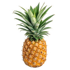 A whole pineapple isolated on a transparent background