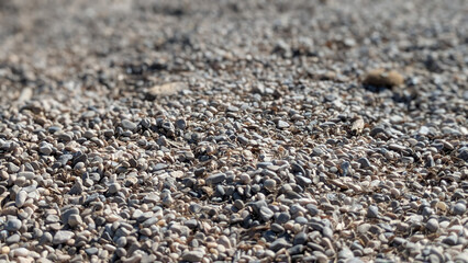 close-up of small pebbles on the beach in Marseille, clear texture and shallow depth of field. A natural pattern in Provence, Marseilles, France
