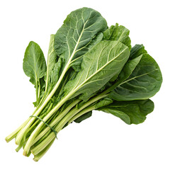 A collard greens bunch isolated on a transparent background
