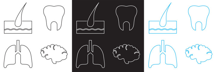 Anatomy  icon . Vector pictograms of body organs icon. Vector for websites, mobile interfaces, presentations, banner, visual branding etc. Vector illustration. isolated on white and black background. 