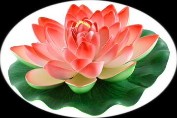 Nénuphar 