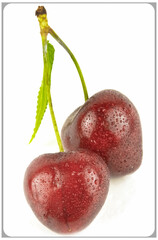 Duo de cerises 