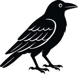 Crow cartoon icon. A crow illustration on white background. Black raven bird sign. flat style.