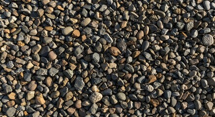 Natural Stone Texture A Collection of Smooth and Rough Pebbles