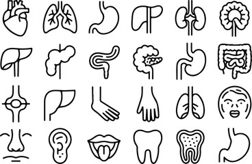 Medical organs line icon set. Vector pictograms of anatomy, body parts, kidney, bladder, pancreas, intestine, thyroid, pelvis, skeleton, joint, hand, nose, mouth, tongue, thin linear icon illustration