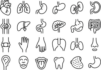 Medical organs line icon set. Vector pictograms of anatomy, body parts, kidney, bladder, pancreas, intestine, thyroid, pelvis, skeleton, joint, hand, nose, mouth, tongue, thin linear icon illustration