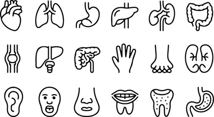Medical organs line icon set. Vector pictograms of anatomy, body parts, kidney, bladder, pancreas, intestine, thyroid, pelvis, skeleton, joint, hand, nose, mouth, tongue, thin linear icon illustration