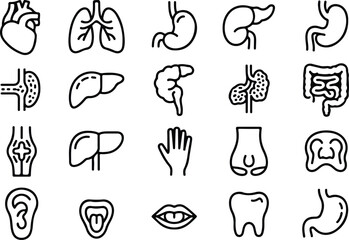 Medical organs line icon set. Vector pictograms of anatomy, body parts, kidney, bladder, pancreas, intestine, thyroid, pelvis, skeleton, joint, hand, nose, mouth, tongue, thin linear icon illustration