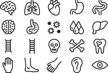 Medical organs line icon set. Vector pictograms of anatomy, body parts, kidney, bladder, pancreas, intestine, thyroid, pelvis, skeleton, joint, hand, nose, mouth, tongue, thin linear icon illustration
