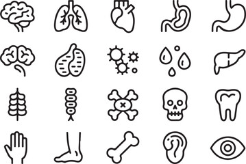 Medical organs line icon set. Vector pictograms of anatomy, body parts, kidney, bladder, pancreas, intestine, thyroid, pelvis, skeleton, joint, hand, nose, mouth, tongue, thin linear icon illustration