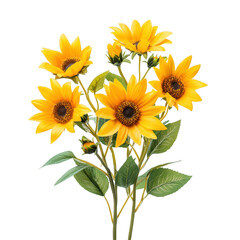 Obraz premium Vibrant yellow sunflower bouquet isolated on transparent background