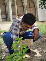 man planting flowers and plants on world environment day 