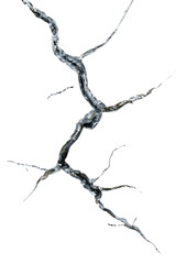 Fototapeta premium Abstract Silver Branch on Transparent Background, PNG