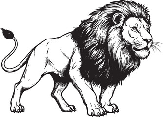 Obraz premium Majestic Lion Illustration, Detailed Woodcut Drawing in Black an