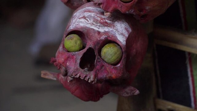 Aghori post-mortem ceremony ritual painted red skull close-up inside shelter, Varanasi, India 