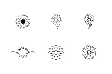 Obraz premium set of vector floral elements