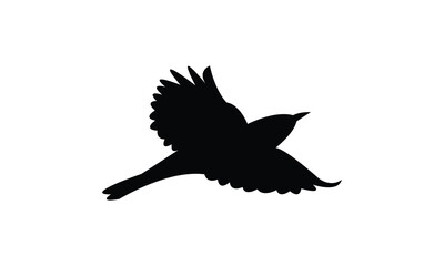 Alpine thrush bird Silhouette Design  And Vector Illustration. 