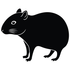 agouti vector
