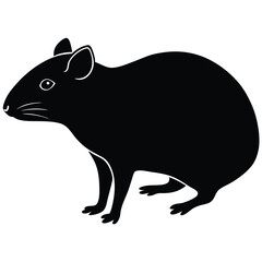 agouti vector