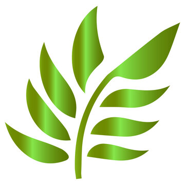 A deconstructed view of a leaf's structure as an exploded axonometric drawing