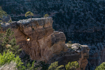 Panoramic views of the Grand Canyon, Arizona, USA, showcasing the dramatic landscape, layered rock formations, and vivid colors under a clear sky. Perfect for travel and nature themes.