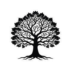 Fototapeta premium Old Oak Tree Sprawling Branches Vector Outline