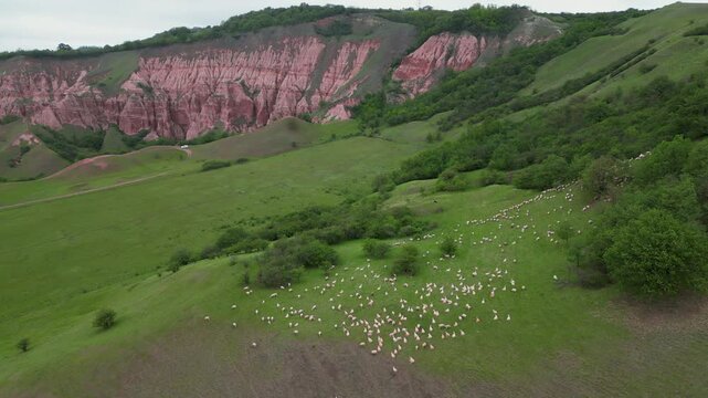 Flock of sheep grazing on a green hill near the Rapa Rosie geological formation